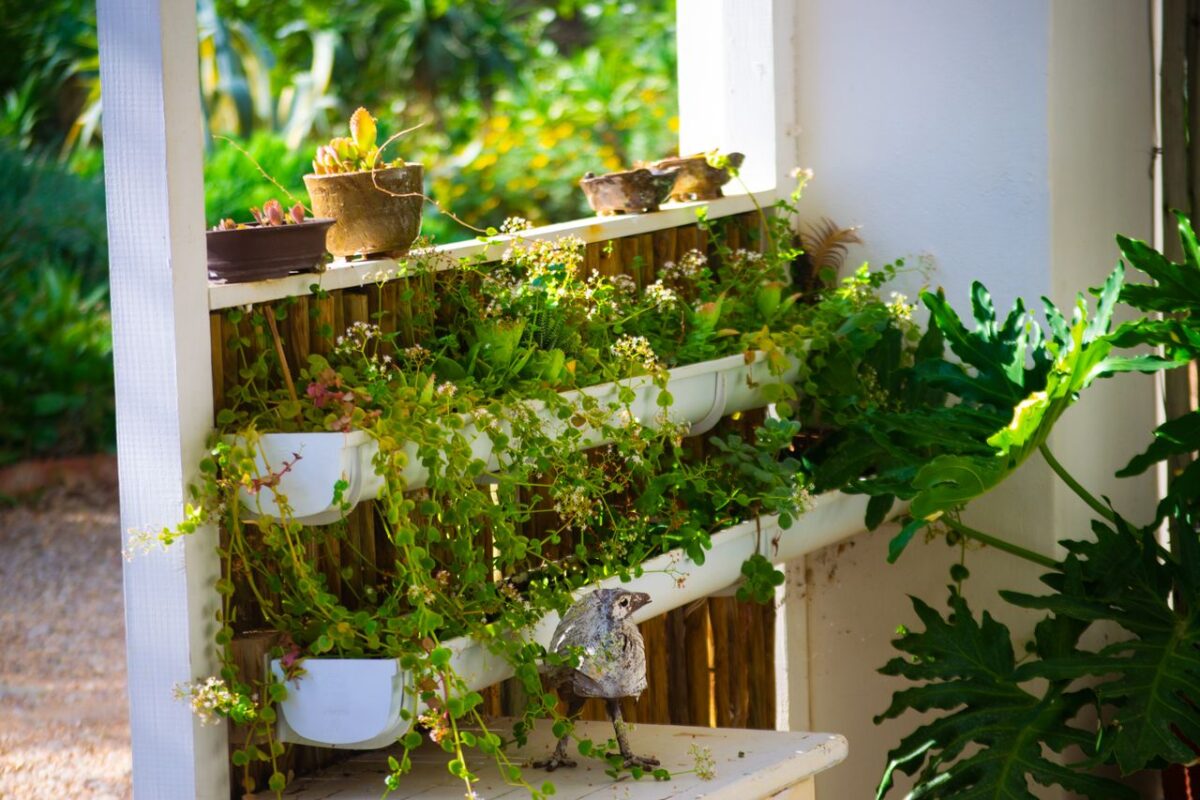 Services A vibrant vertical garden with potted succulents and lush greenery in natural sunlight creating a serene atmosphere.