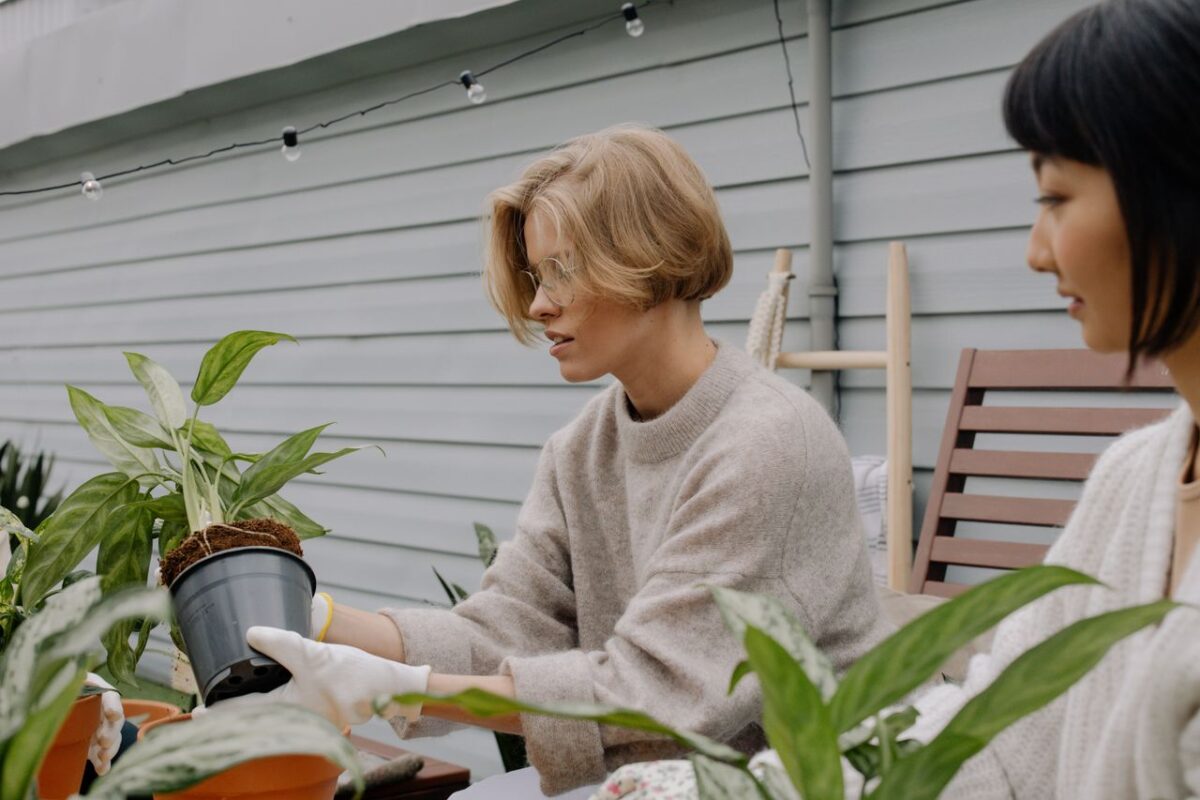 Services Two women gardening and replanting houseplants outside in a serene setting.